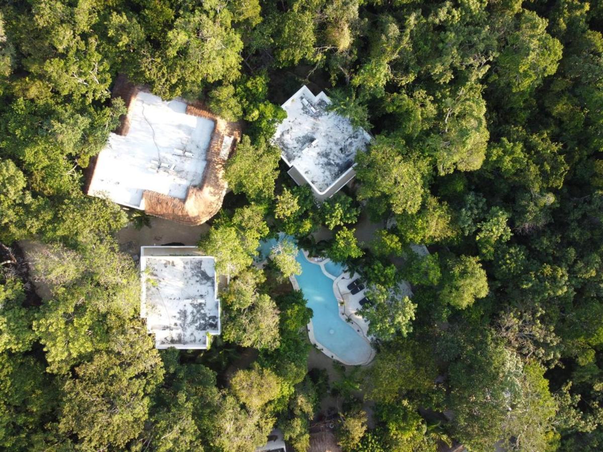 Cachito de Cielo Luxury Jungle Lodge Tulum Exterior foto